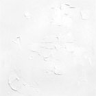 Acqua Coniglio Pacifico, 50x60