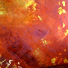 Groviglio d'amore, 100x150